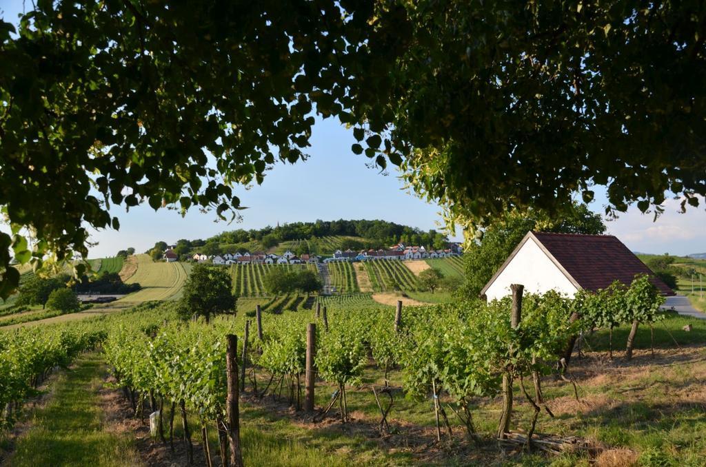 Ferienwohnung Herrmann Pottenhofen Esterno foto