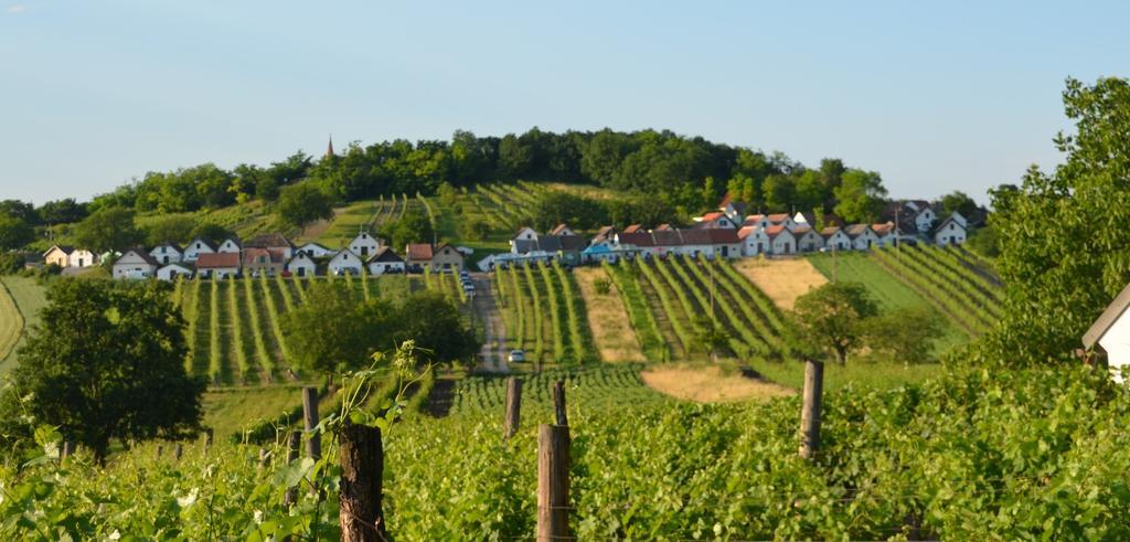 Ferienwohnung Herrmann Pottenhofen Esterno foto