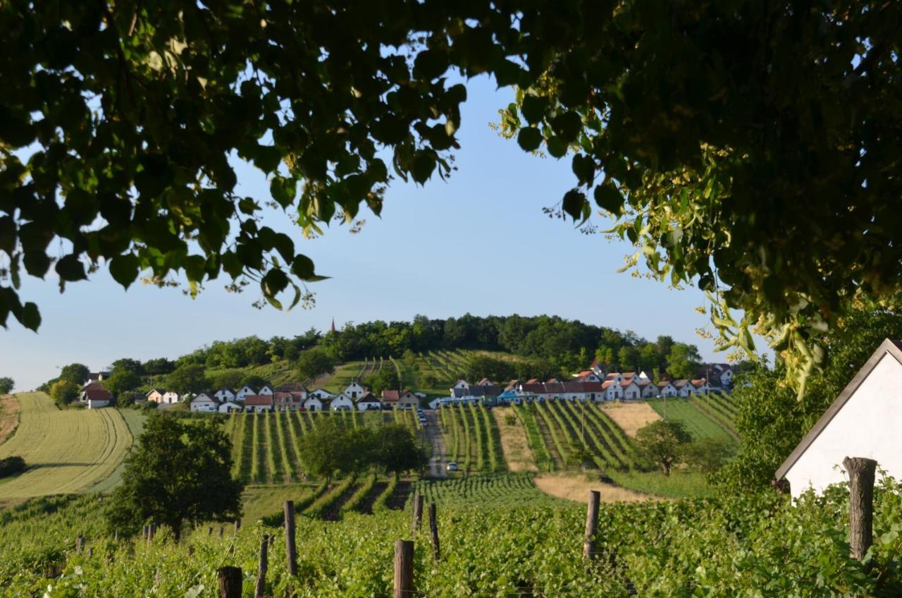 Ferienwohnung Herrmann Pottenhofen Esterno foto